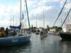 Ueckermünder Haff-Sail Ueckermünder Haff-Sail