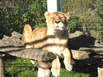 Ausflugsziele (Foto: pixelio.de)