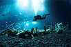 GUE-Photo of the Year 2009 Ozeaneum Stralsund