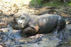 Ausflugsziele Ostsee Zoo Schwerin