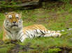 Abendsafari Zoo Schwerin