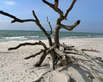 Am Weststrand nahe Wieck (Foto: Gerd Pfaff/pixelio.de) Am Weststrand nahe Wieck (Foto: Gerd Pfaff/pixelio.de)