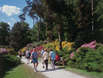 Rhododrendronpark in Graal-Müritz (Foto: TUK GmbH)