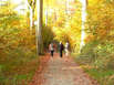 Walking im Usedomer Küstenwald (Foto: nordlicht verlag)