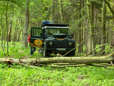 Mit dem Jeep auf Usedom-Safari (Foto: Rainer Höll) Mit dem Jeep auf Usedom-Safari (Foto: Rainer Höll)