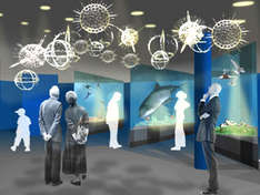 Ostsee-Ausstellung im OZEANEUM Stralsund (Grafik: Atelier Lohrer)
