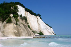 Heilkreide auf der Insel Møn (Foto: Jürgen Sauer/pixelio.de)
