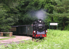 Der Rasende Roland auf Rügen (Foto: Marion Granel/pixelio.de)