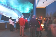 Greenpeace-Vortrag Wale im Ozeaneum Stralsund