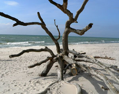 Am Weststrand nahe Wieck (Foto: Gerd Pfaff/pixelio.de)