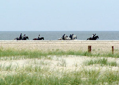 Reiturlaub (Foto: pixelio.de)
