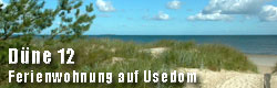 http://www.duene12.de