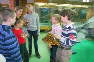 Besonders interessant und lehrreich sind die Familien-Führungen im Deutschen Meeresmuseum Stralsund