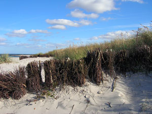 D&uuml;nenlandschaft bei Kellenhusen (Foto: pixelio)
