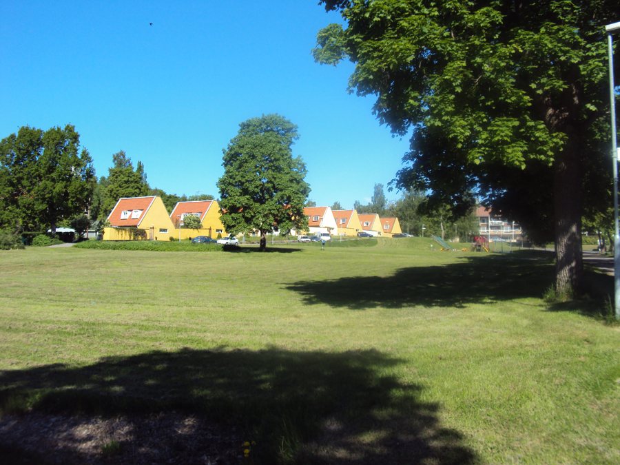 File:Allmänning i Hammarby, Sandvikens kommun.JPG