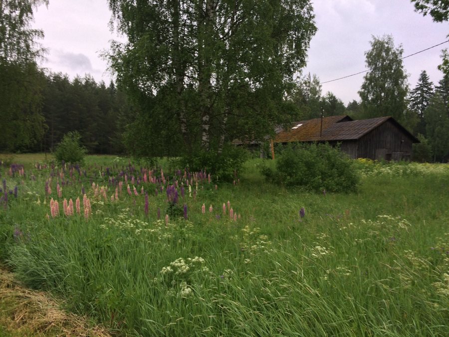 File:Joaveski, 74813 Harju County, Estonia - panoramio - Николай Семёнов (1).jpg