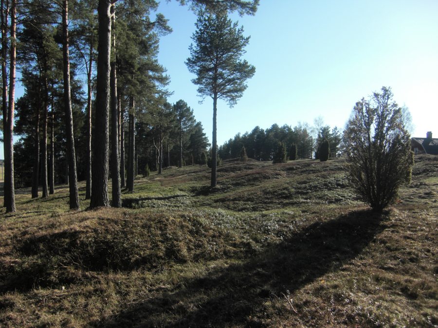 File:Årsunda Sörby gravfält (Raä-nr Årsunda 9-1) 0566.jpg