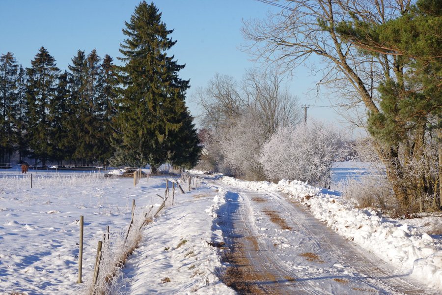 File:Muuksi küla.jpg