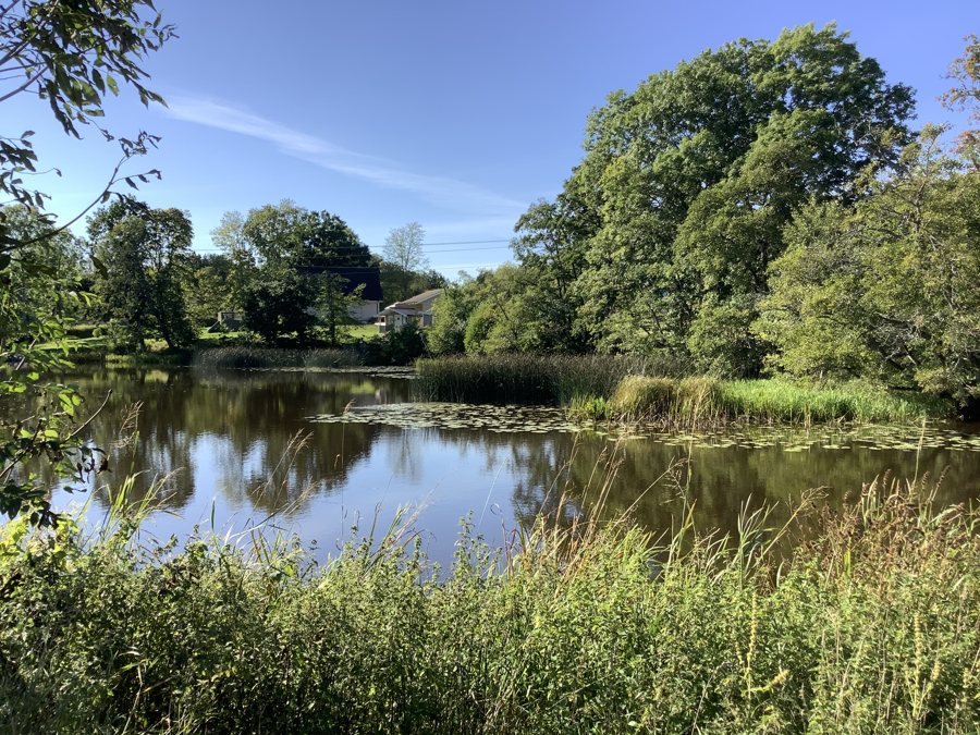 File:Frändefors river Forsane Sweden - 01.jpg