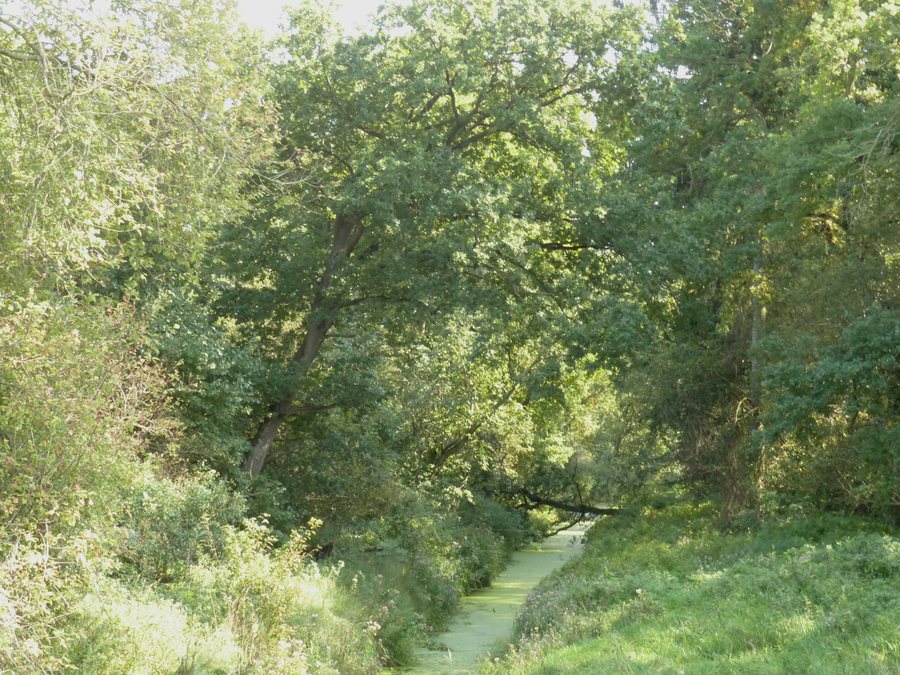 File:70801 Ibitzgraben.JPG