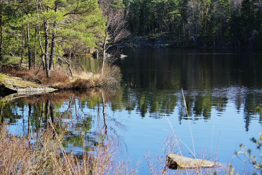 File:Härskasjön Vårgårda kommun 2395.jpg