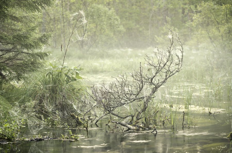 File:Pidula veskioja 01.jpg
