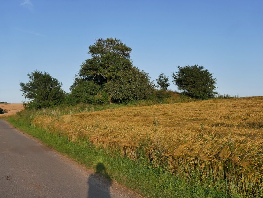 File:Stenstuen (Mjels) H1a.jpg