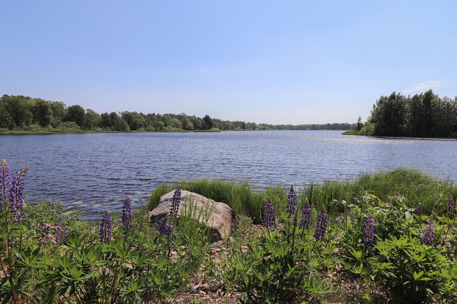 File:Kyrksjön, Vissefjärda 05.jpg