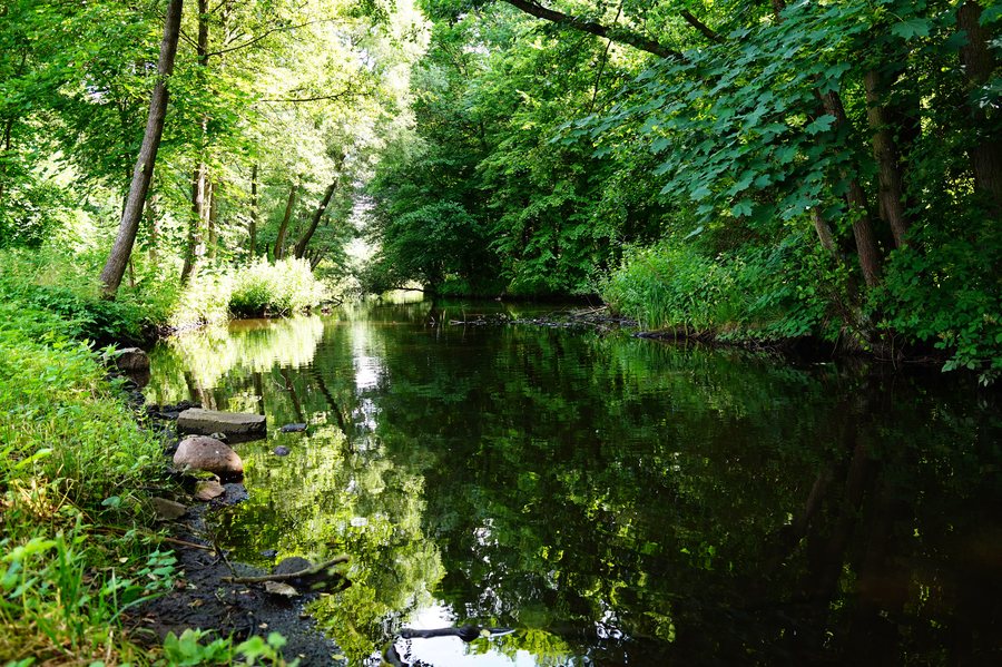 File:Rzeka Kłodawa, wieś Kłodawa, pow. gdański - panoramio.jpg