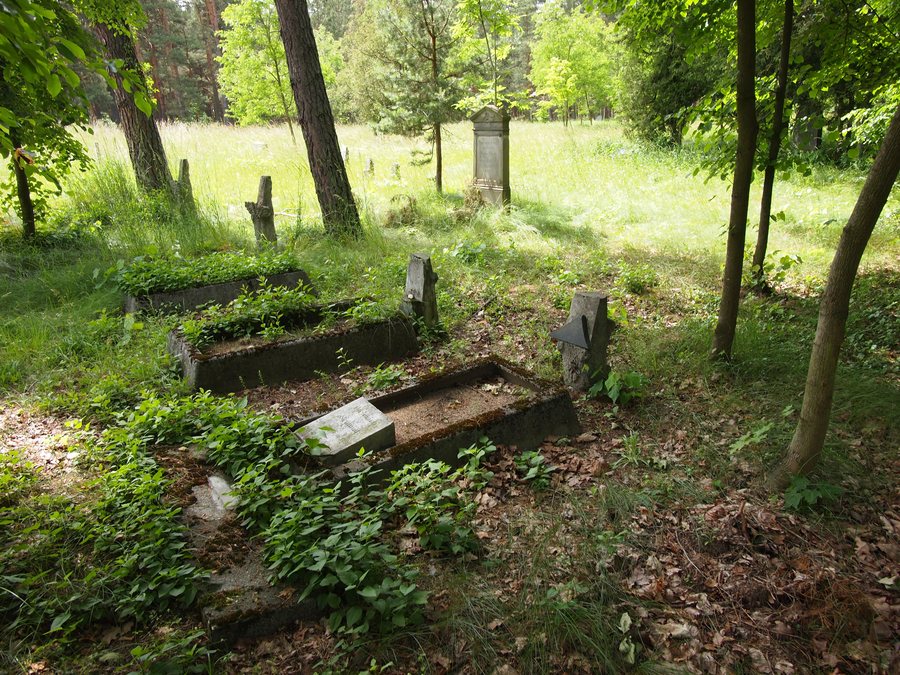 File:Borowy Młyn, cmentarz mennonitów Mennonite cemetery - panoramio (11).jpg