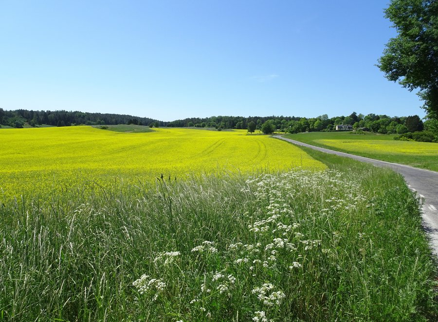 File:Enhörna landskap, 2018a.jpg