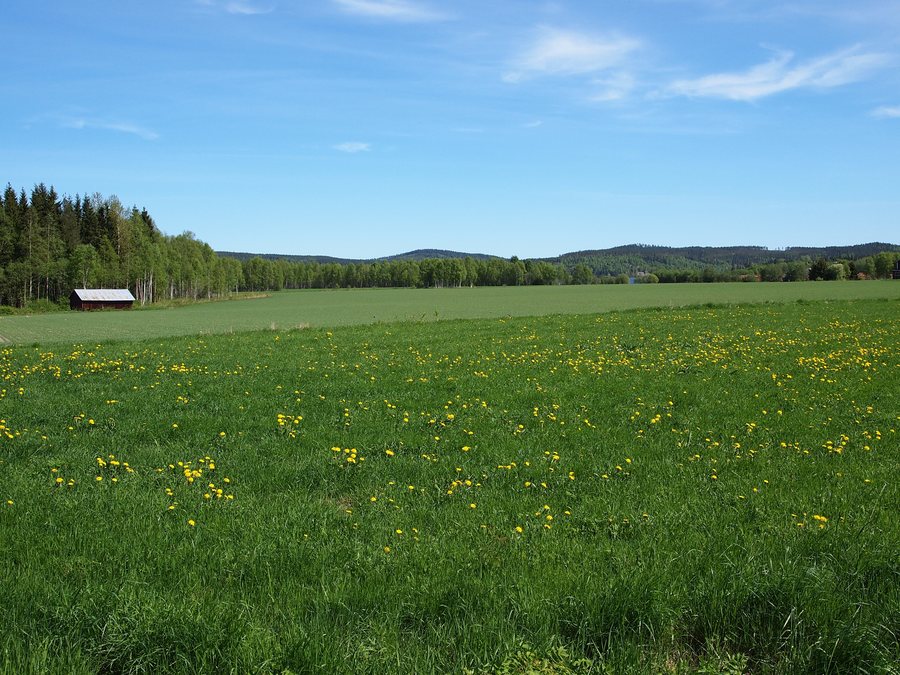 File:Ovanåker 2013.jpg