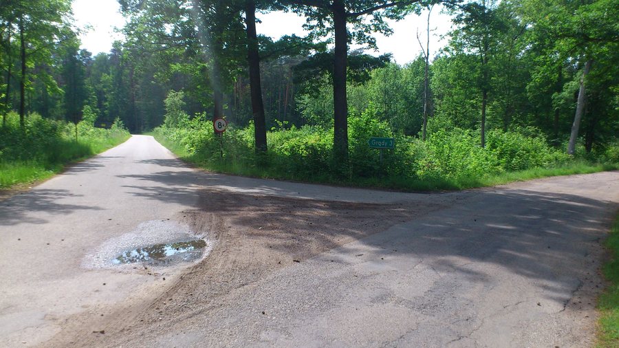 File:Droga Rybno-Ostaszewo. W lewo na Grądy - panoramio.jpg