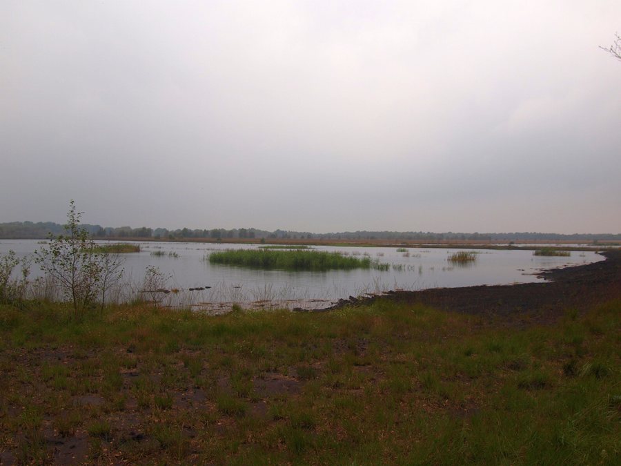 File:Großes Moor bei Dätgen.jpg