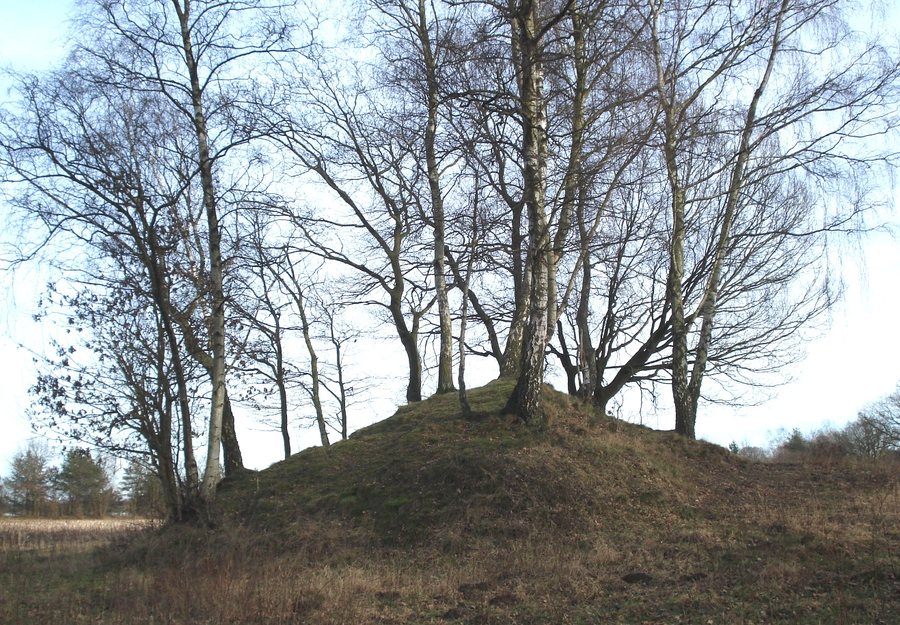 File:Ratekau - Pansdorf - Grabhügel.JPG