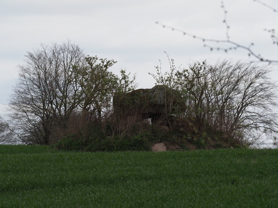 File:Großsteingrab Felm.jpg