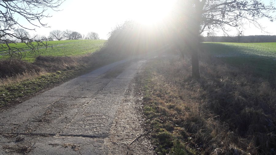 File:Feldweg, Schönkirchen-Schönhorst.jpg