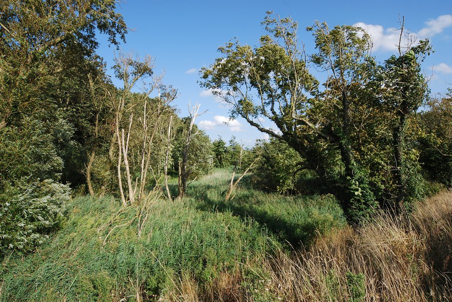 File:Naturschutzgebiet Geltinger Birk (westlicher Teil) in Schleswig-Holstein im Kreis Schleswig-Flensburg in Nieby A.JPG