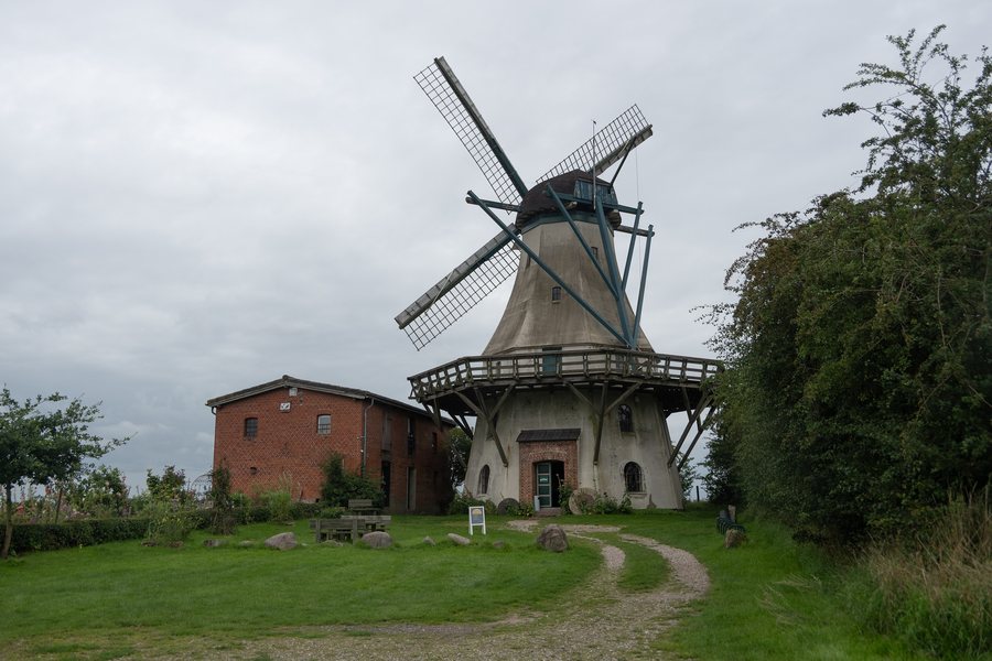 File:Langballig Windmühle Fortuna 2023CF 01.jpg