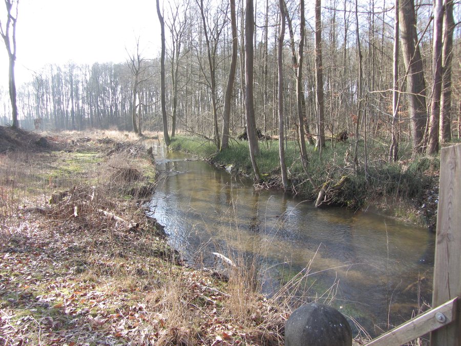 File:Blankenberg Radebach 2014-03-11 3.JPG