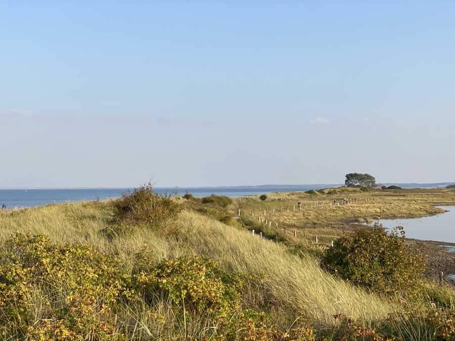 File:Behrensdorf (50376148186).jpg