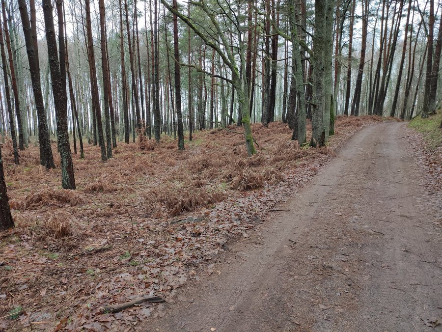 File:Eurovelo R 10, Żarnowska, Pomořské vojvodství, Polsko 01.jpg