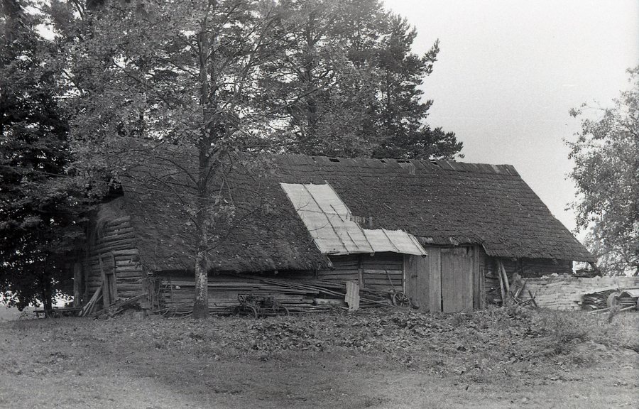 File:Barzdžių Medsėdžių kluonas 1988.jpg
