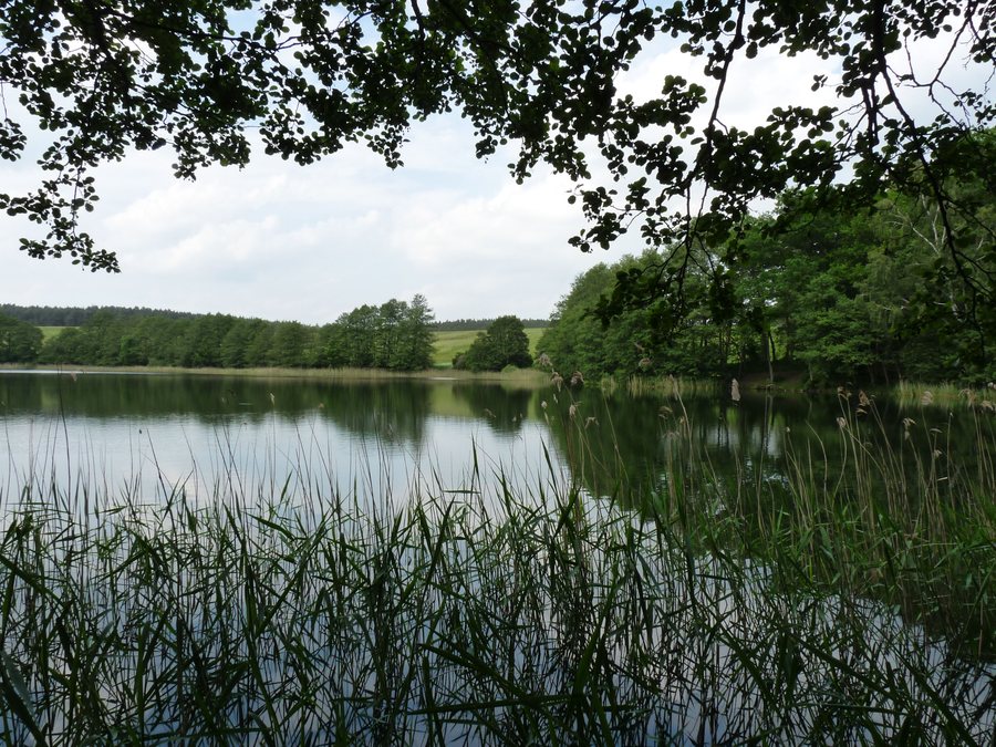 File:Glammsee (Witzin) 08-06-2010 569.jpg