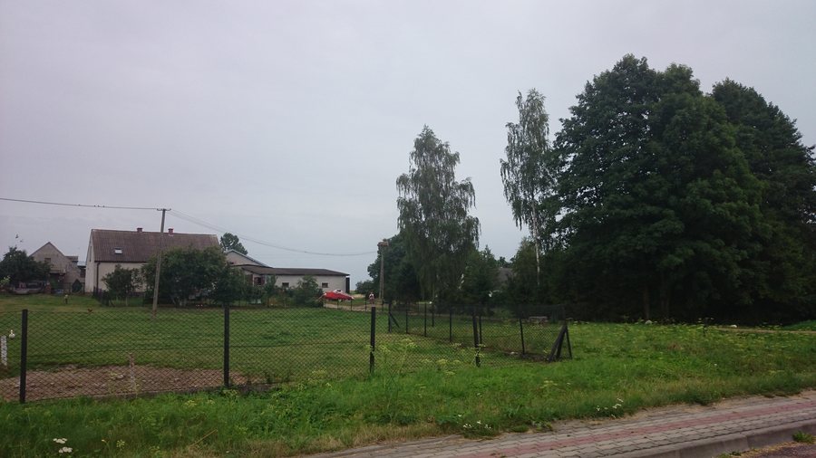 File:Naguszewo, bocianie gniazdo.jpg