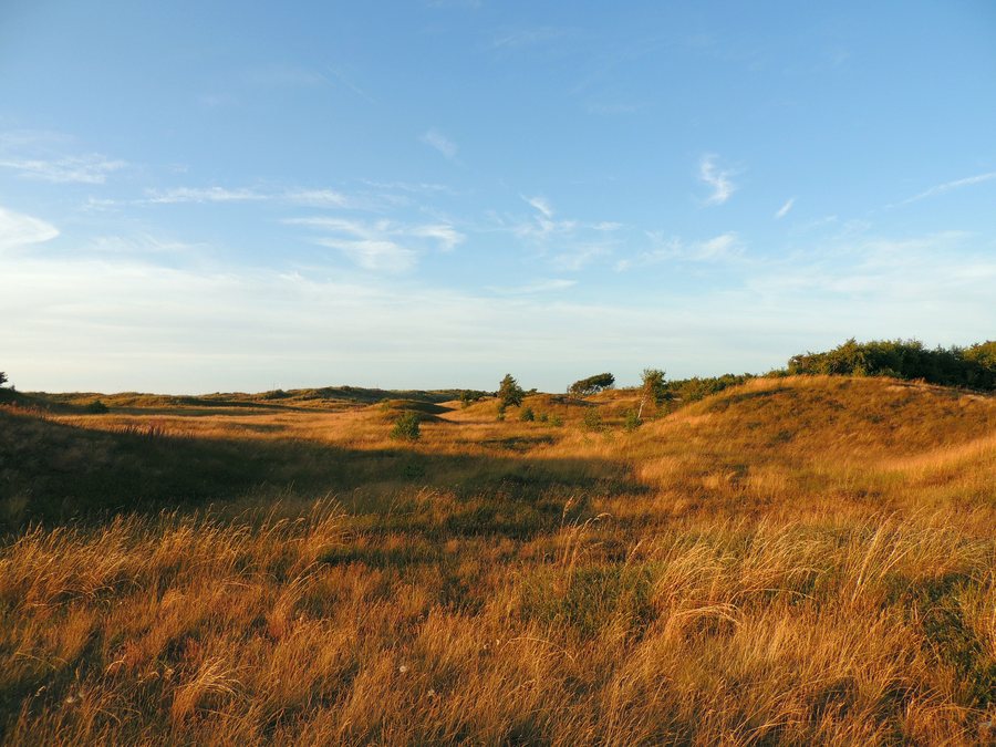 File:Dünen am Weissenhäuser Strand - panoramio.jpg