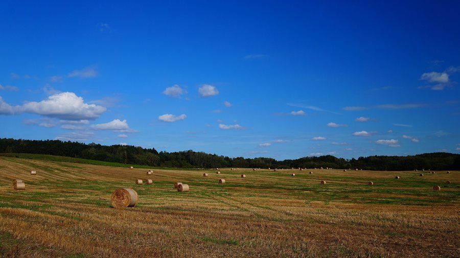 File:Pola po żniwach. Osada Łabno, droga Lidzbark Warm. - Suryty. - panoramio.jpg