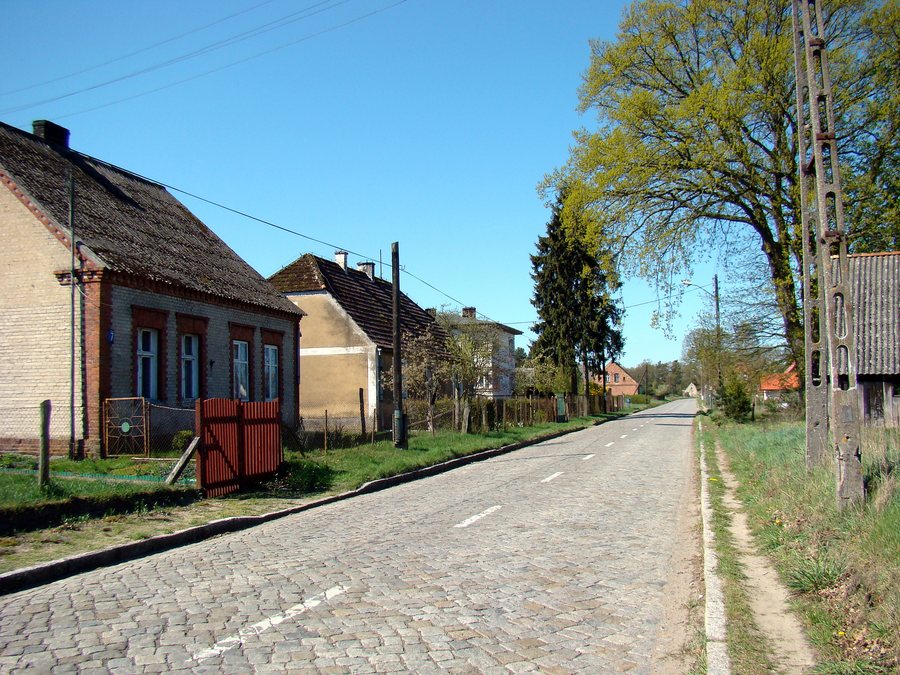 File:0904 Brzózki GNW ZPL.JPG