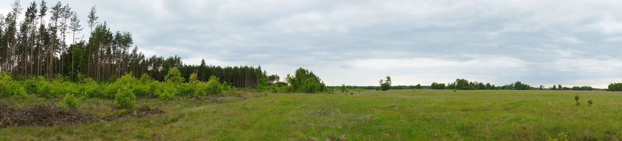 File:Gmina Wielbark, Poland - panoramio (1).jpg