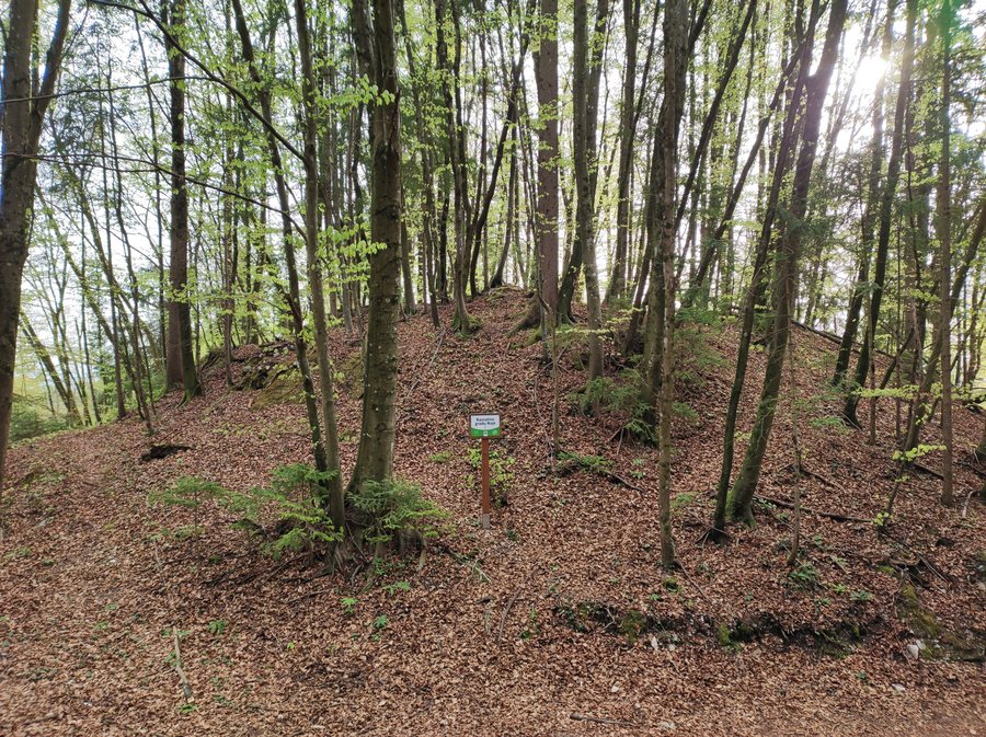 File:Lescevje, ruins of the Roje castle 01.jpg